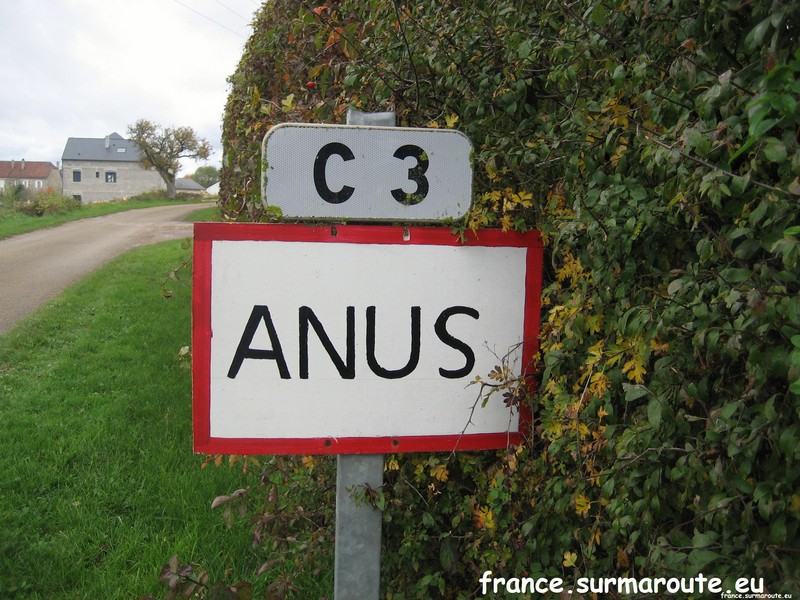 Anus H 89.JPG