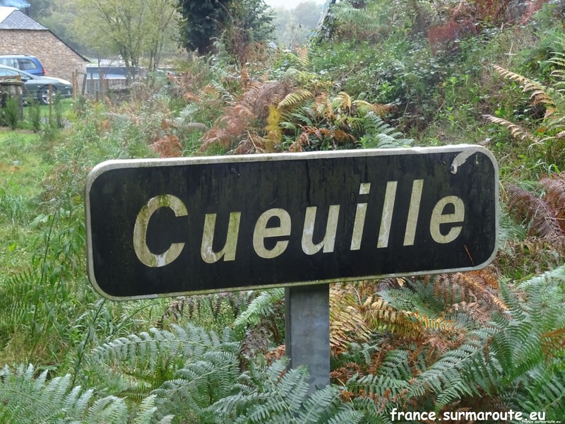 Cueuille H 19.JPG
