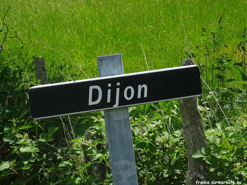 Dijon H 15.JPG