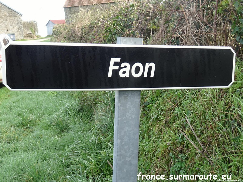 Faon H 36.JPG