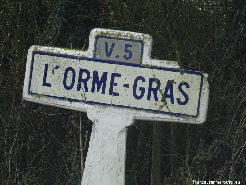 L'Orme Gras H 91.JPG