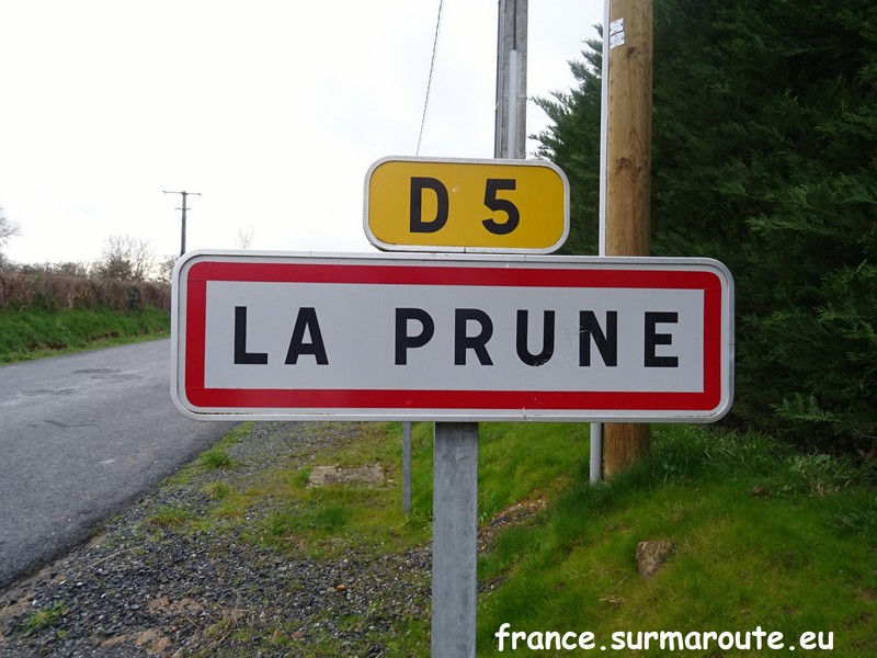 La Prune H 36.JPG