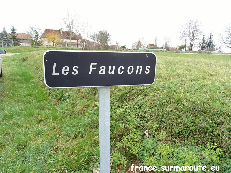 Les Faucons H 24.JPG