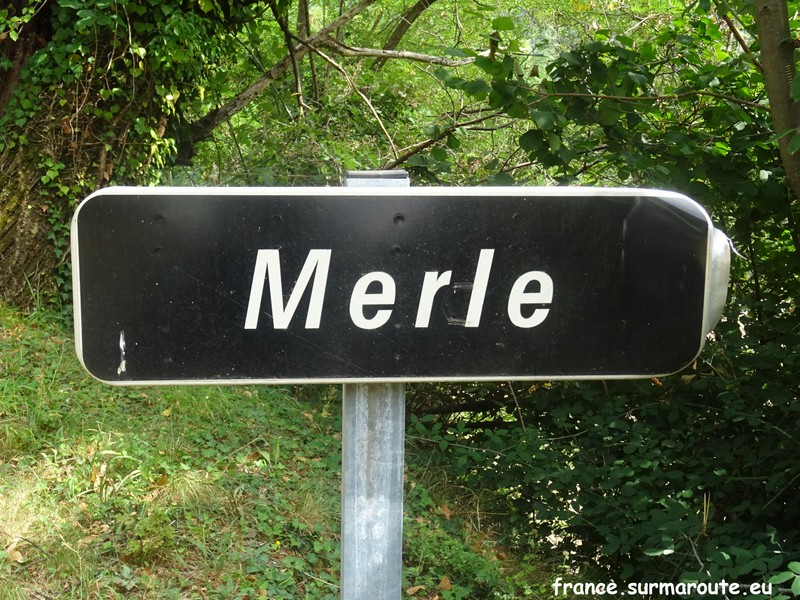 Merle H 07.JPG