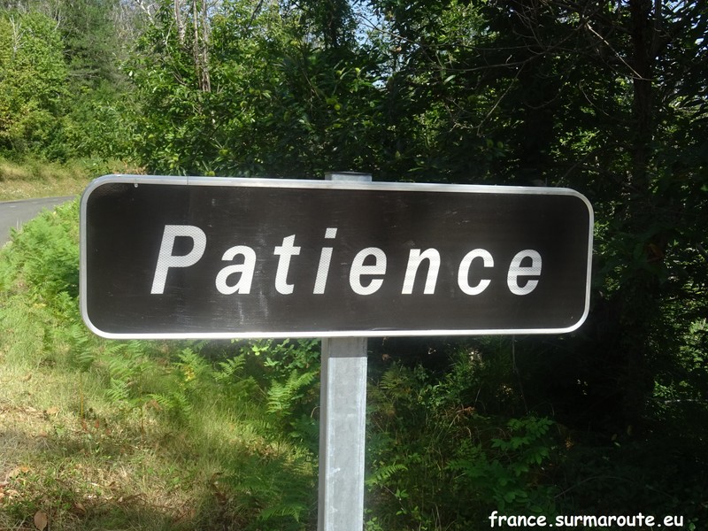 Patience H 48.JPG