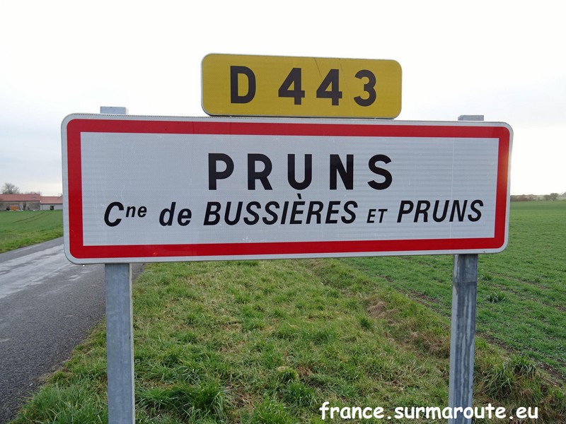Pruns H 63.JPG