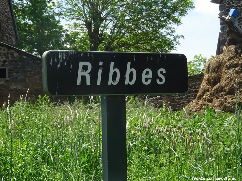 Ribbes H 15.JPG