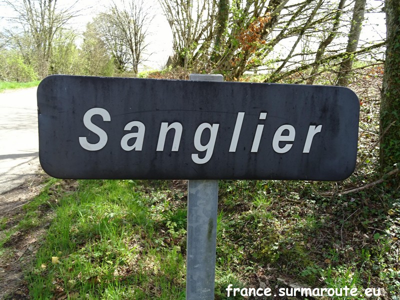 Sanglier H 58.JPG