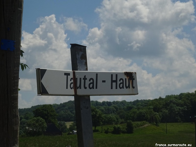 Tautal-Haut H 15.JPG