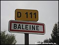 Baleine H 77.JPG