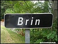 Brin H 30.jpg