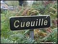 Cueuille H 19.JPG
