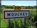 Mouches H 58.JPG