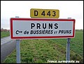Pruns H 63.JPG