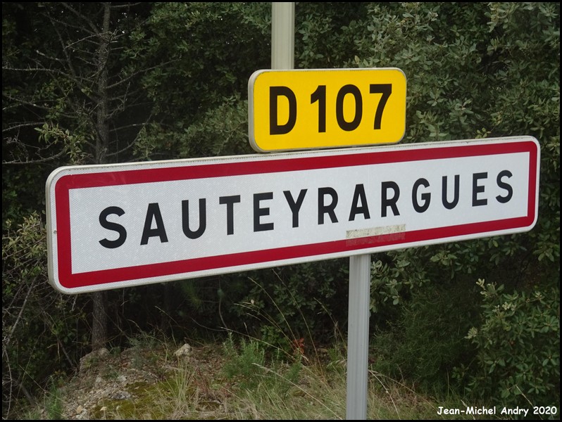 Sauteyrargues 34 - Jean-Michel Andry.jpg
