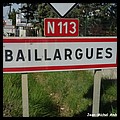 Baillargues 34 - Jean-Michel Andry.jpg