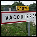 Vacquières 34 - Jean-Michel Andry.jpg