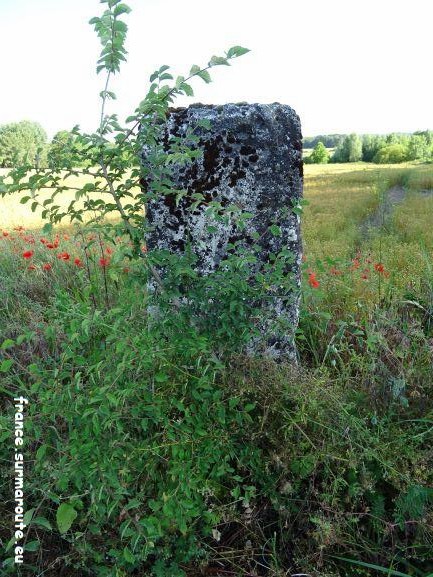 36 x 41 RD 35 x RD 51 prolongé.JPG