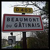 Beaumont-du-Gâtinais 77 - Jean-Michel Andry.jpg