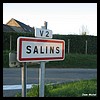 Salins 77 - Jean-Michel Andry.jpg