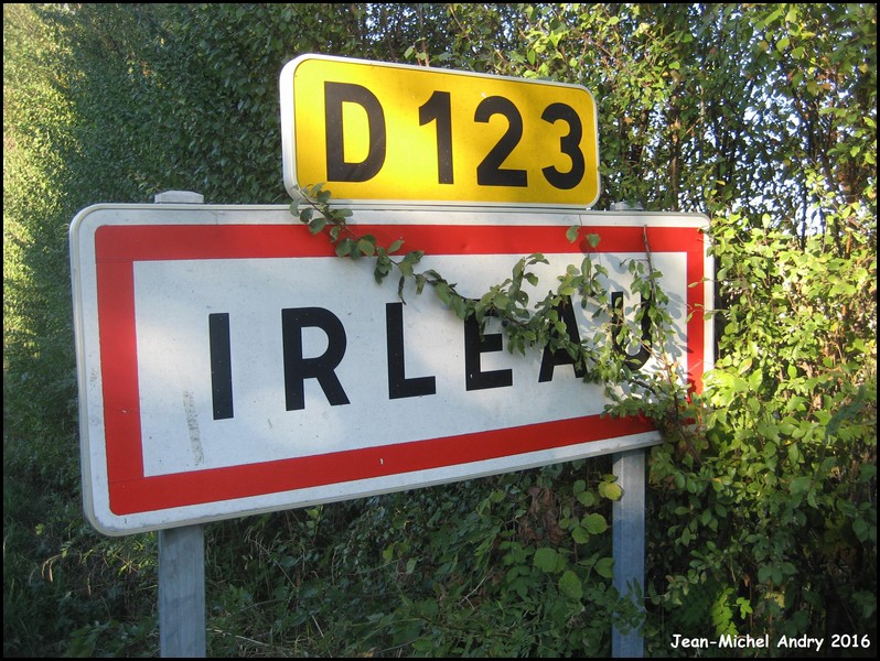 Le Vanneau-Irleau 2 79 - Jean-Michel Andry.jpg