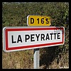 La Peyratte 79 - Jean-Michel Andry.jpg