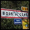 Bois-de-Céné 85 - Jean-Michel Andry.jpg