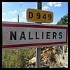 Nalliers 85 - Jean-Michel Andry.jpg