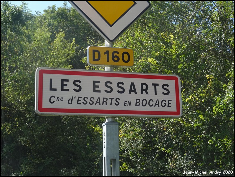 Les Essarts 85 - Jean-Michel Andry.jpg