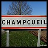 Champcueil 91 - Jean-Michel Andry.jpg