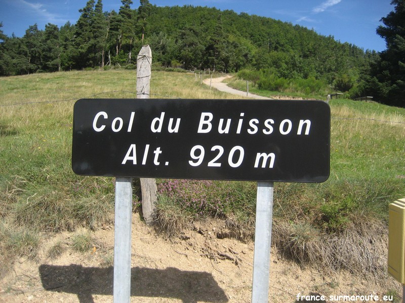 07 Buisson.JPG