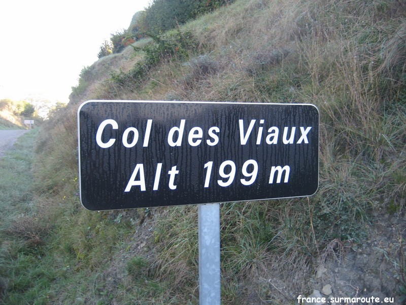 07 Viaux.JPG