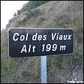 07 Viaux.JPG