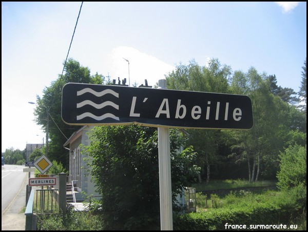 ABEILLE 19.JPG