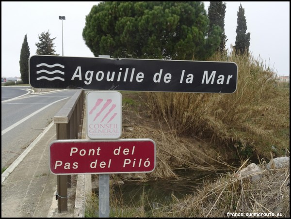 AGOUILLE DE LA MAR 66.JPG