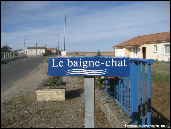 BAIGNE CHAT 86.JPG
