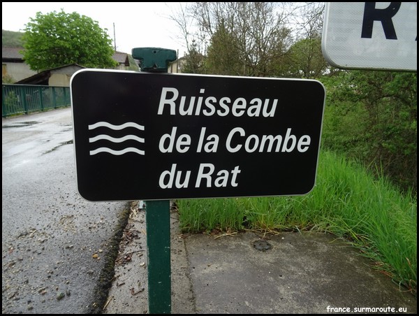 COMBE DU RAT 26.JPG