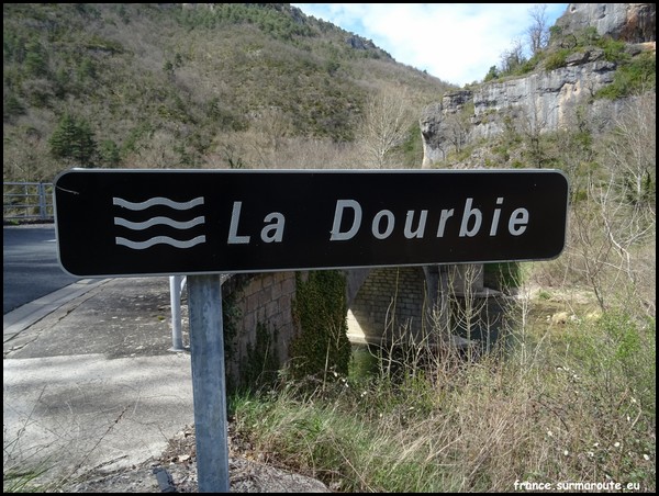 DOURBIE 12.JPG