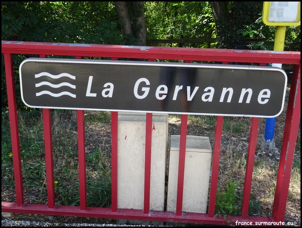 GERVANNE.JPG