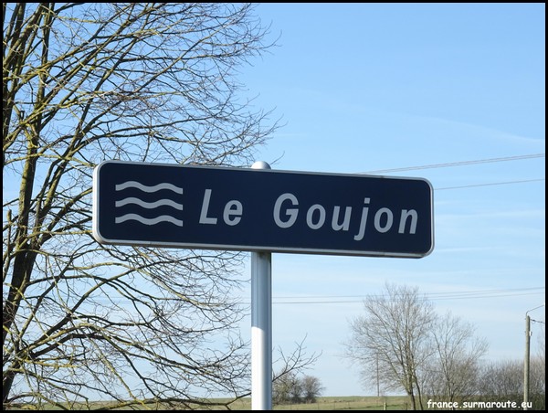GOUJON 02.JPG