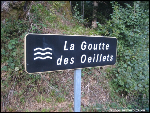 GOUTTE DES OEILLETS 90.JPG