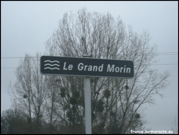 GRAND MORIN 51.JPG