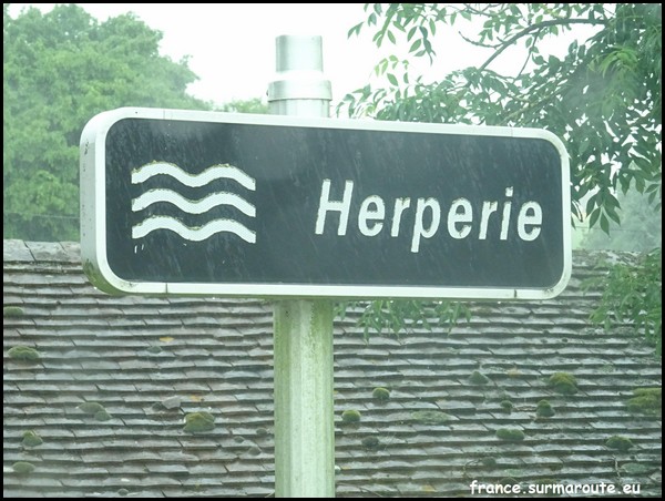 HERPERIE 60.JPG