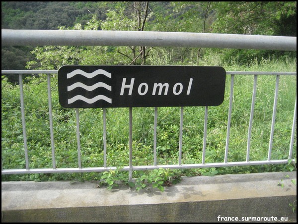 HOMOL 30.JPG