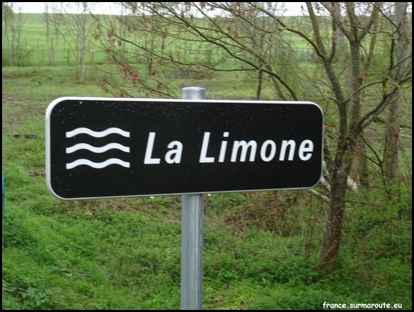 LIMONE 26.JPG