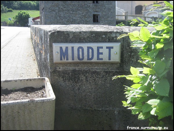 MIODET 63.JPG