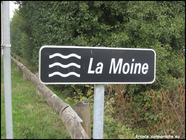 MOINE 49.JPG