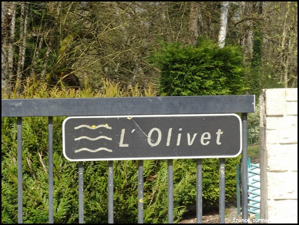 OLIVET 37.JPG
