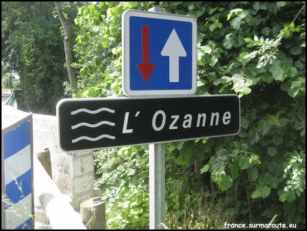 OZANNE 28.JPG
