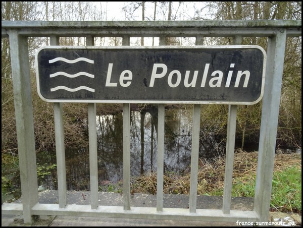 POULAIN 28.JPG
